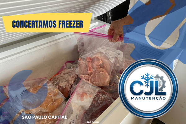 concerto freezer capital